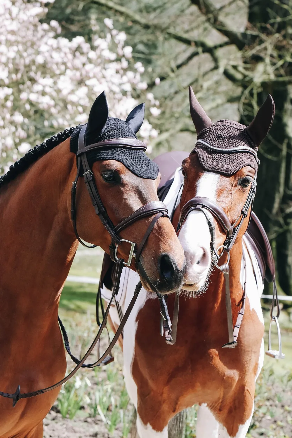 Kentucky Horsewear Kentucky Horsewear|Schabrak & Huvor-Wellington Huva Brun