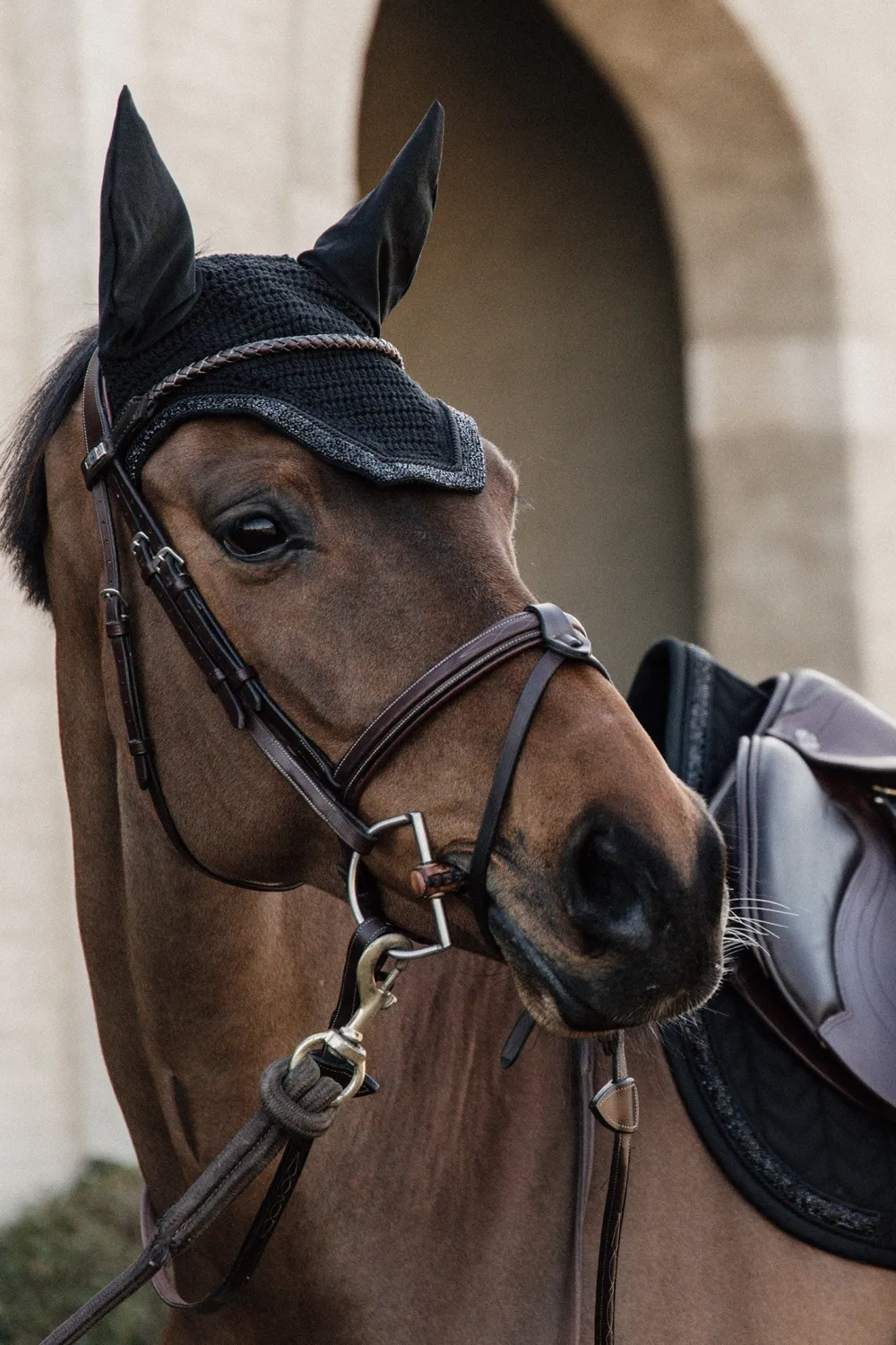 Kentucky Horsewear Schabrak & Huvor-Wellington Huva Glitter Stone Svart