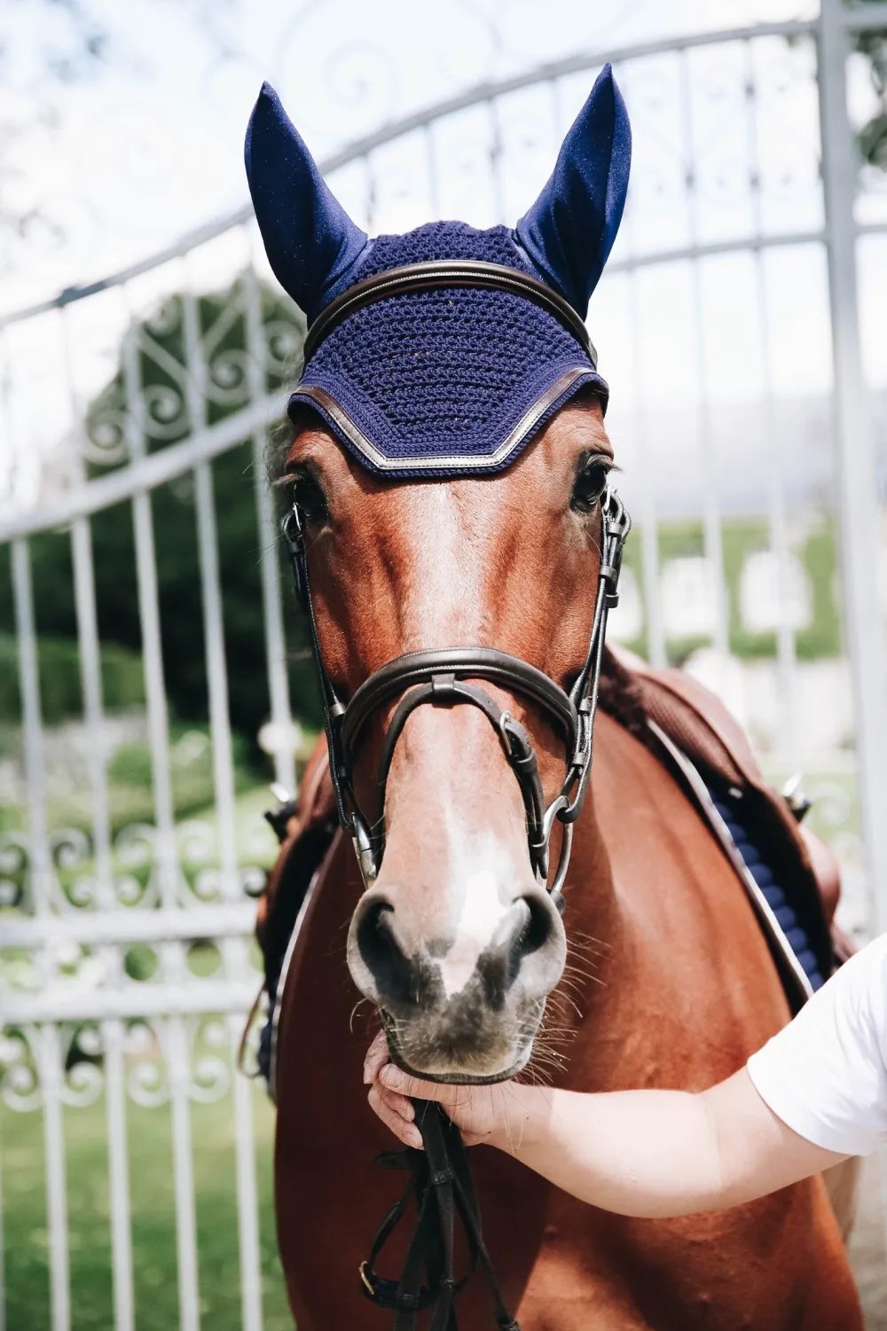 Kentucky Horsewear Schabrak & Huvor-Wellington Huva Läder Ponny