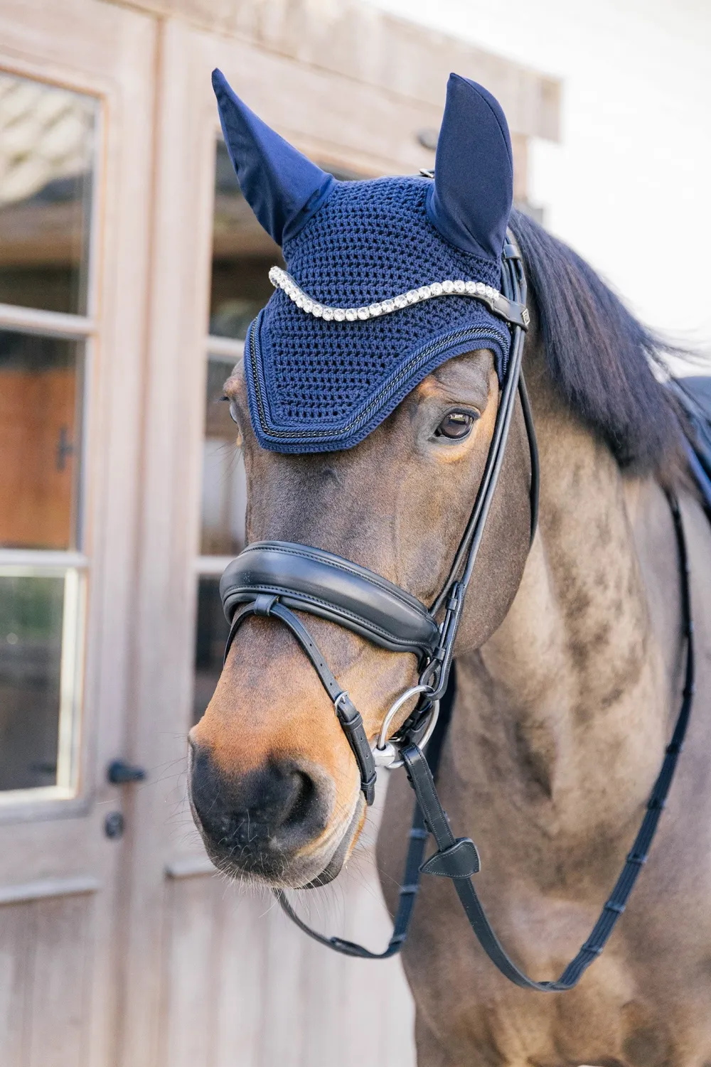 Kentucky Horsewear Kentucky Horsewear|Schabrak & Huvor-Weington Huva Meta Chain Navy