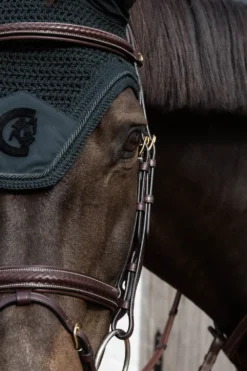 Kentucky Horsewear Kentucky Horsewear|Schabrak & Huvor-Wellington Huva Soundless 3D Logo Pine Green