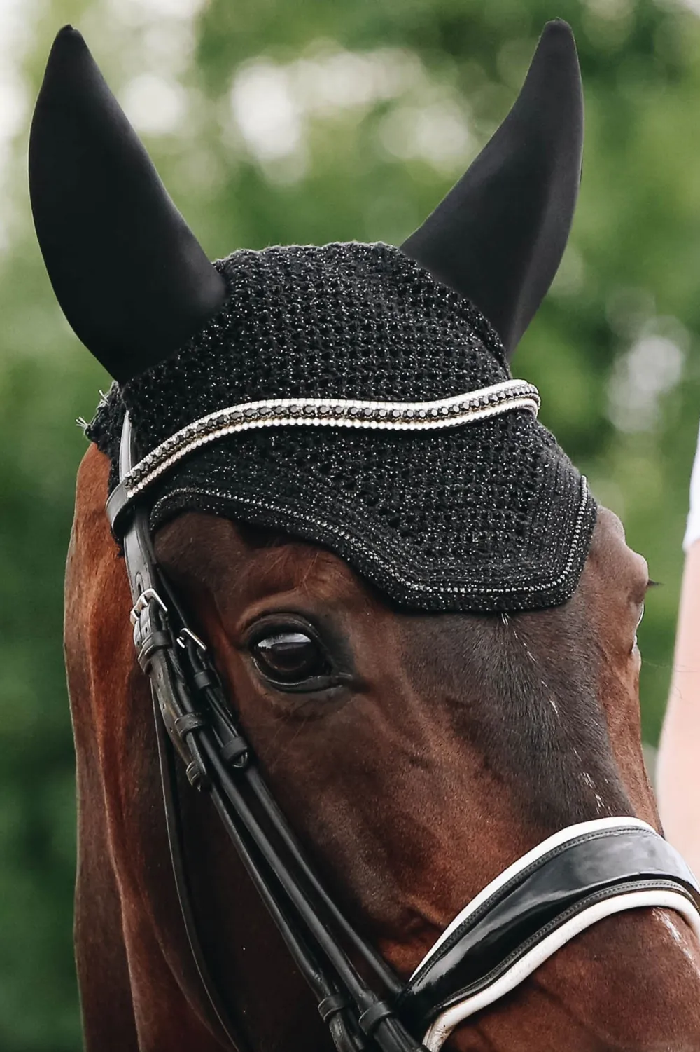 Kentucky Horsewear Kentucky Horsewear|Schabrak & Huvor-Wellington Huva Sparkling Svart