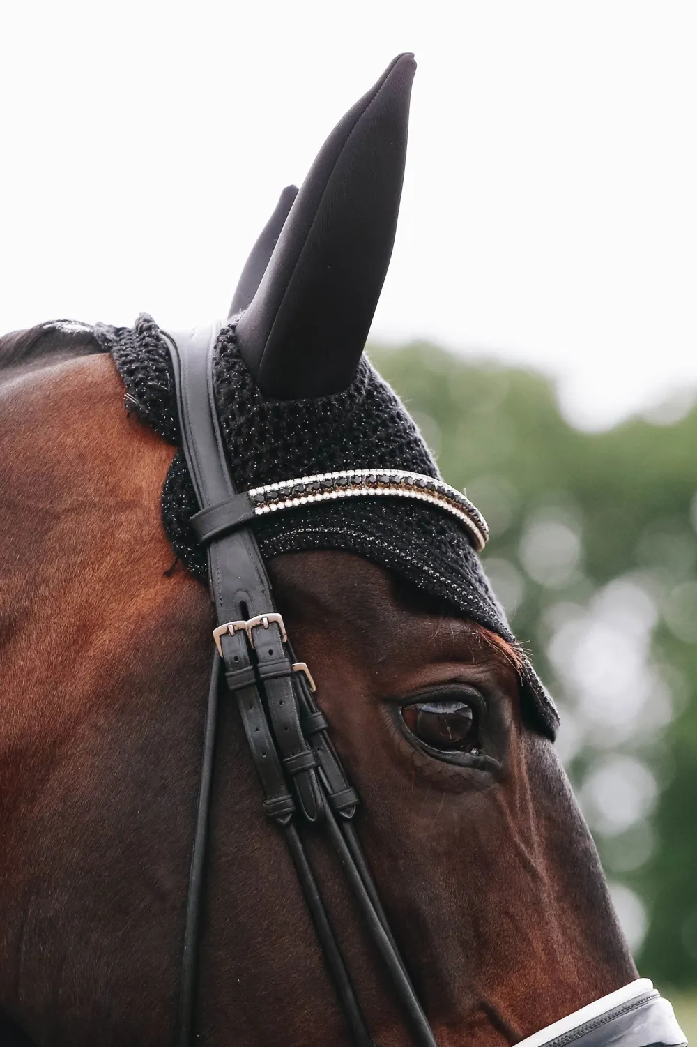 Kentucky Horsewear Kentucky Horsewear|Schabrak & Huvor-Wellington Huva Sparkling Svart