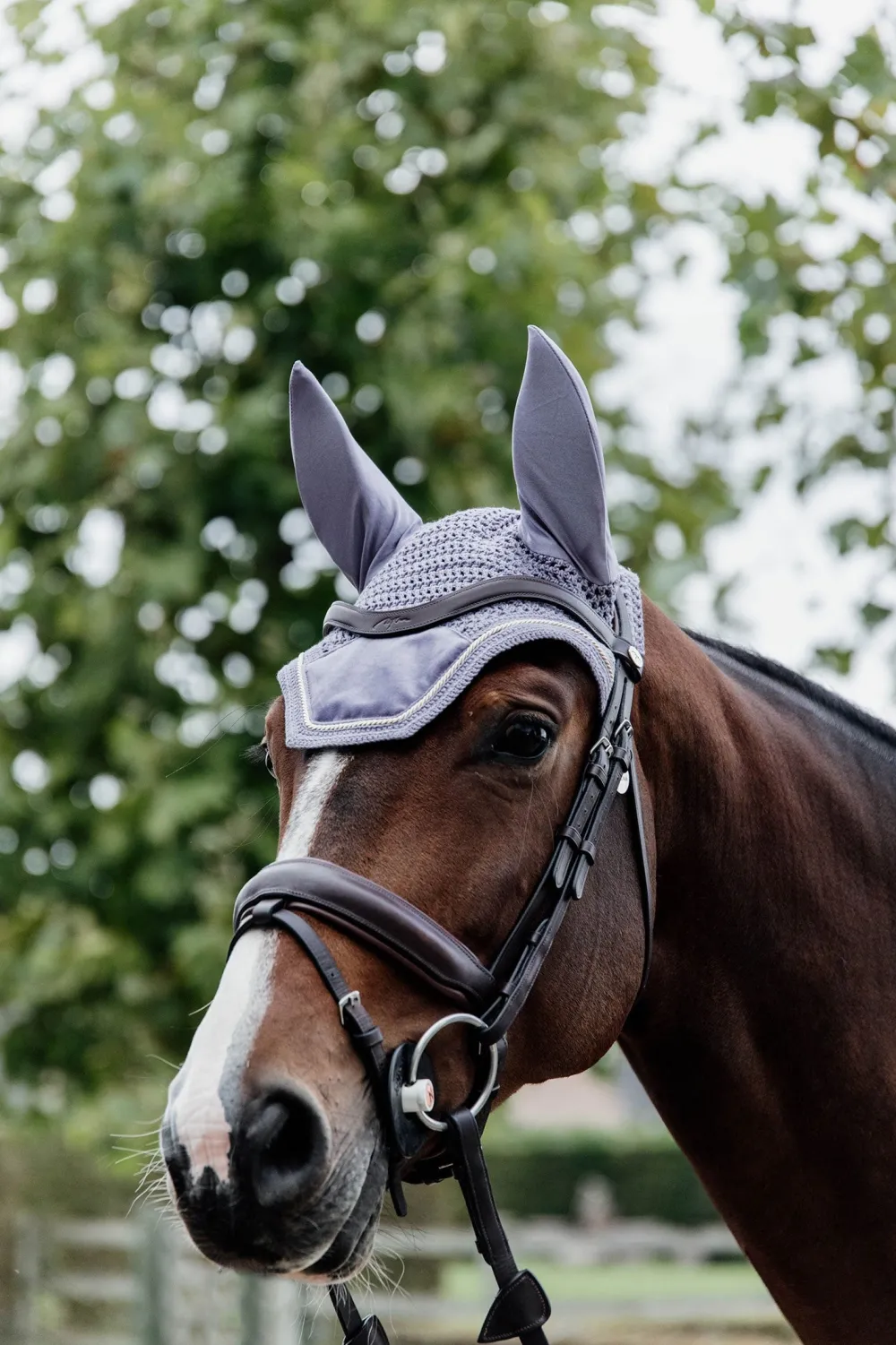 Kentucky Horsewear Kentucky Horsewear|Schabrak & Huvor-Wellington Huva Velvet Lila
