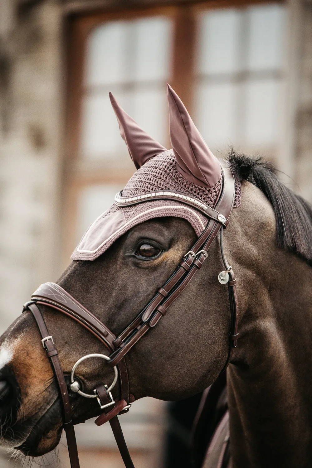 Kentucky Horsewear Kentucky Horsewear|Schabrak & Huvor-Wellington Huva Velvet Ljuslila