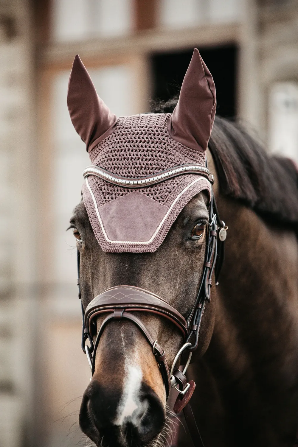 Kentucky Horsewear Kentucky Horsewear|Schabrak & Huvor-Wellington Huva Velvet Ljuslila
