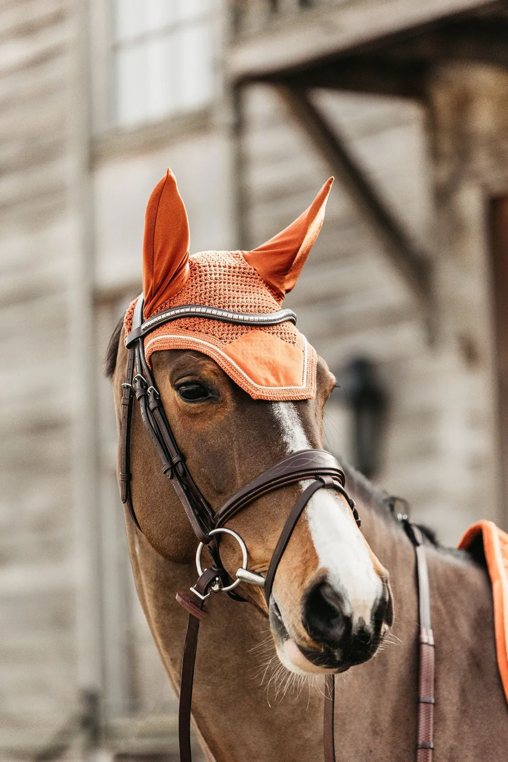 Kentucky Horsewear Kentucky Horsewear|Schabrak & Huvor-Wellington Huva Velvet Orange