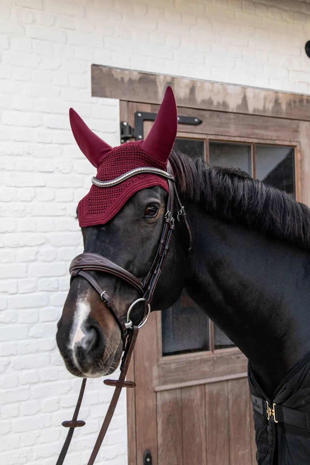 Kentucky Horsewear Kentucky Horsewear|Schabrak & Huvor-Wellington Isolerad Huva Bordeaux