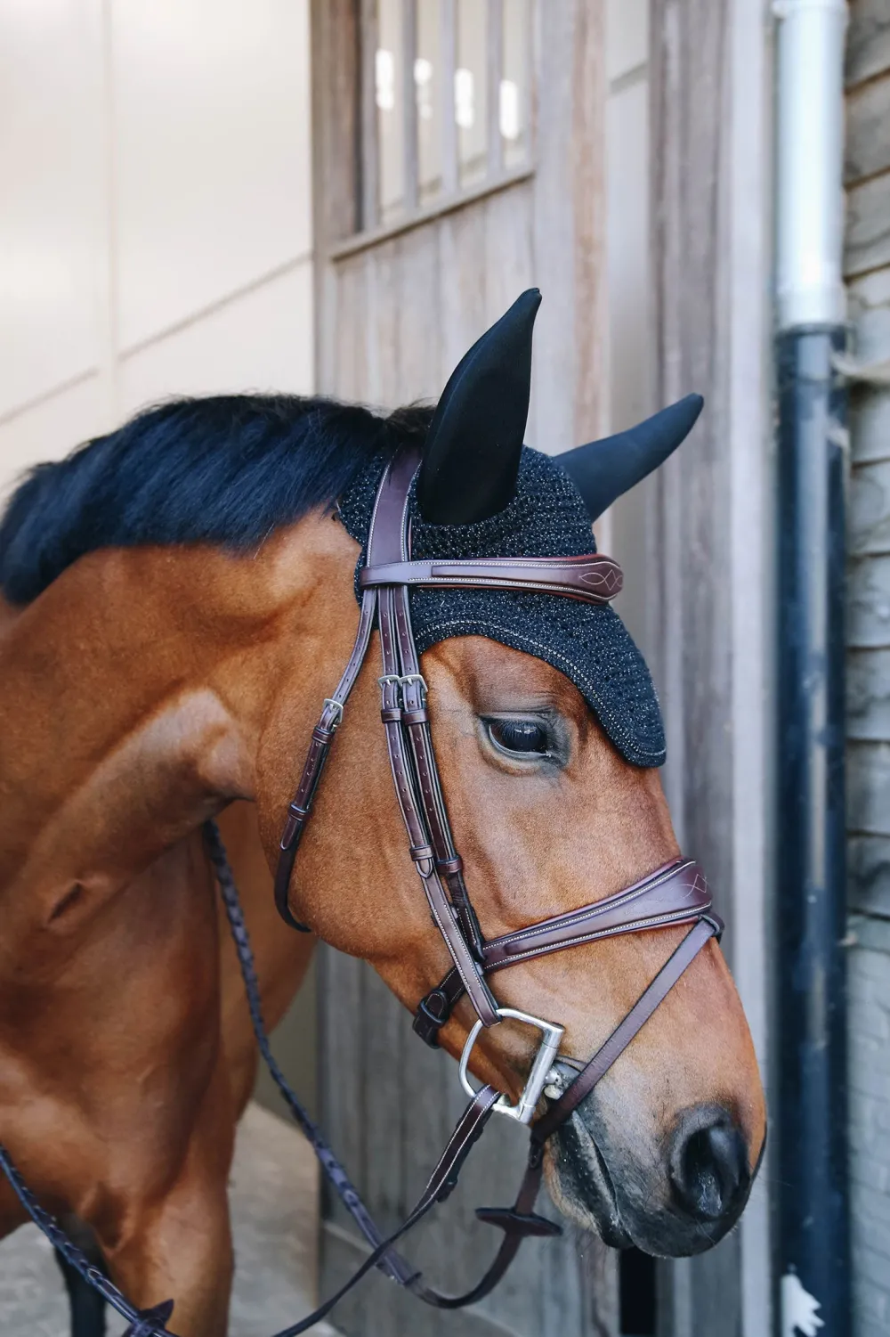 Kentucky Horsewear Schabrak & Huvor-Wellington Isolerad Huva Sparkling Svart