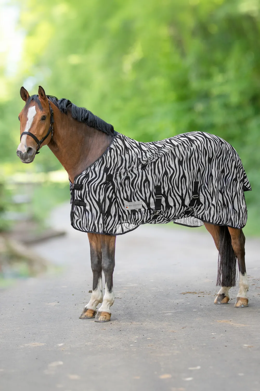 Waldhausen Flugskydd-Zebra Flugtäcke Svart/Vit